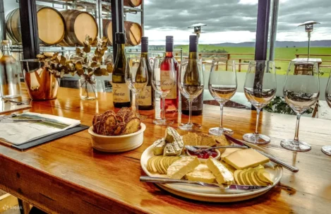 22-RelaxedHalfDayYarraValleyWineTourfromMelbourne
